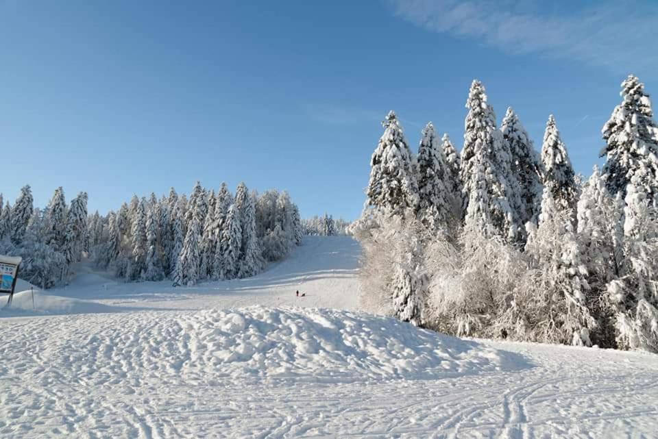 Апартаменти Le Petit Vosgien Жерарме Екстер'єр фото